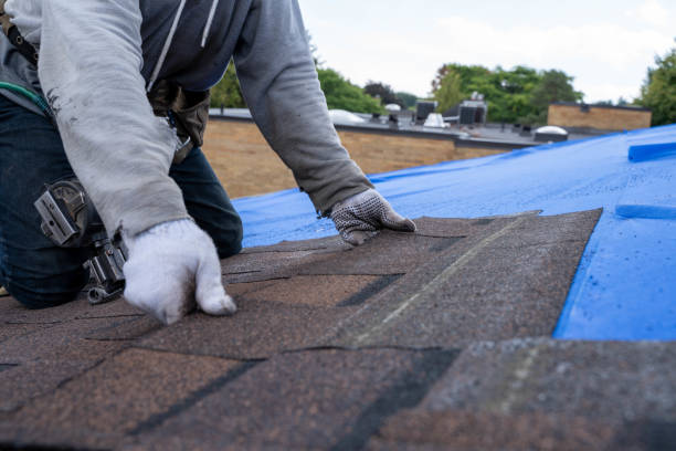 Professional Roofing Contractor in Story City, IA