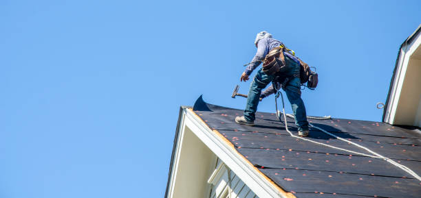 Best Metal Roofing Contractor  in Story City, IA